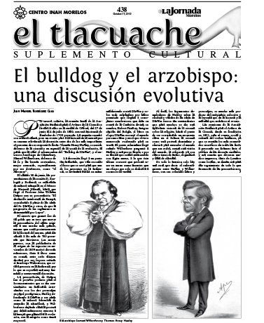 					Ver Núm. 438 (2010): El Tlacuache
				