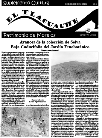					View No. 28 (2002): El Tlacuache
				