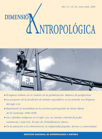 					Ver Vol. 36 (2006): Dimensión Antropológica
				